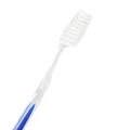 FOX DENTAL Szczoteczka bez pasty jednorazowa niebieska - 100 szt.